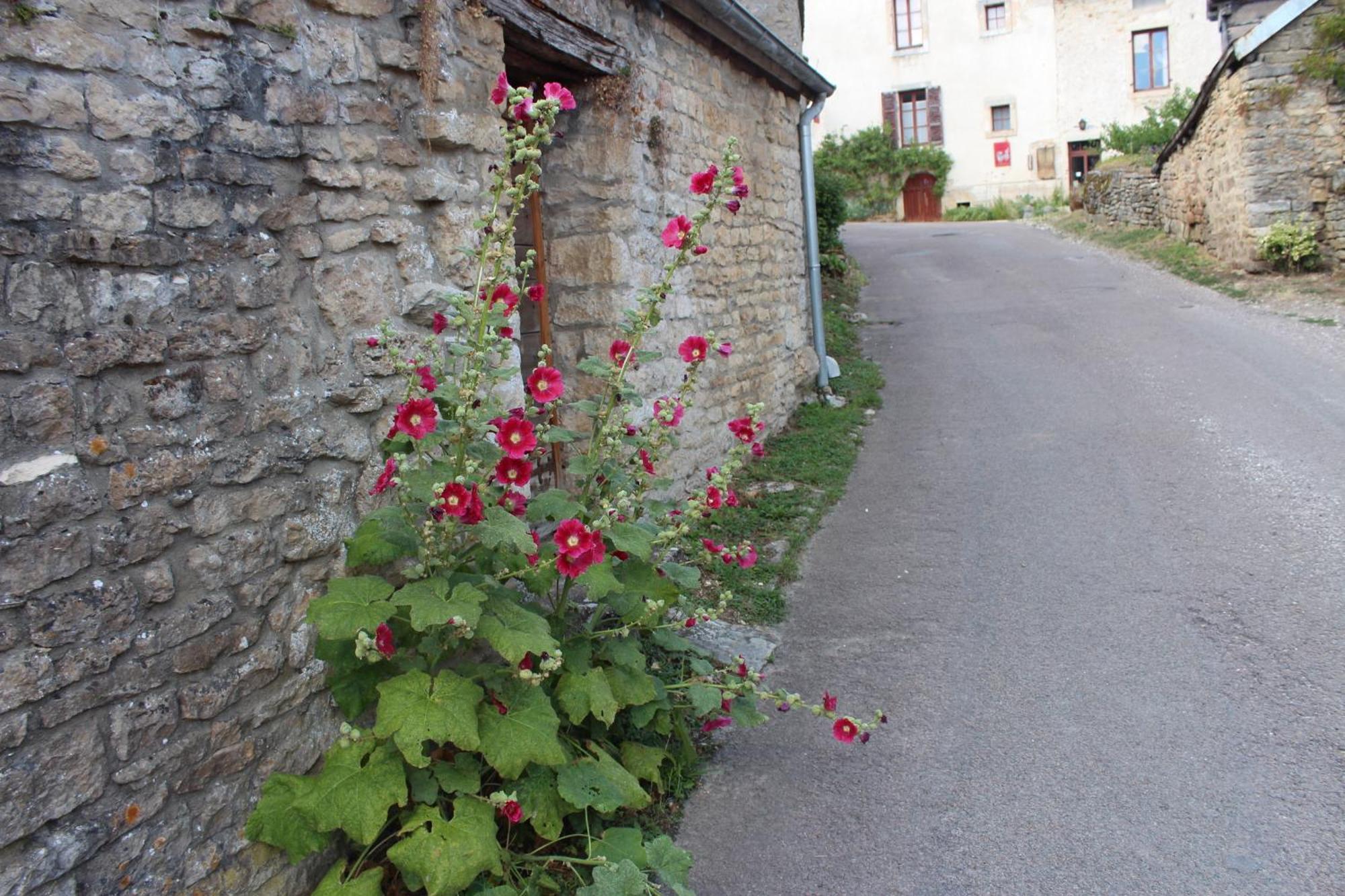 Chateauneuf Suites Kültér fotó