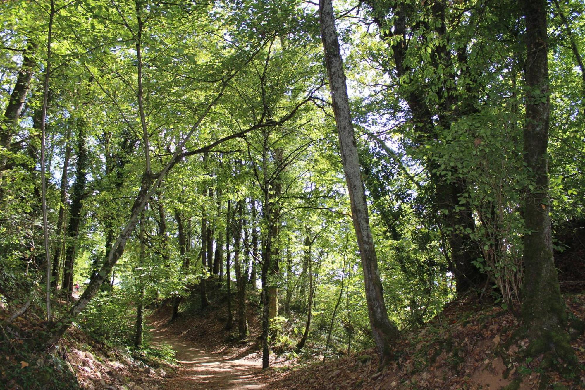 Chateauneuf Suites Kültér fotó