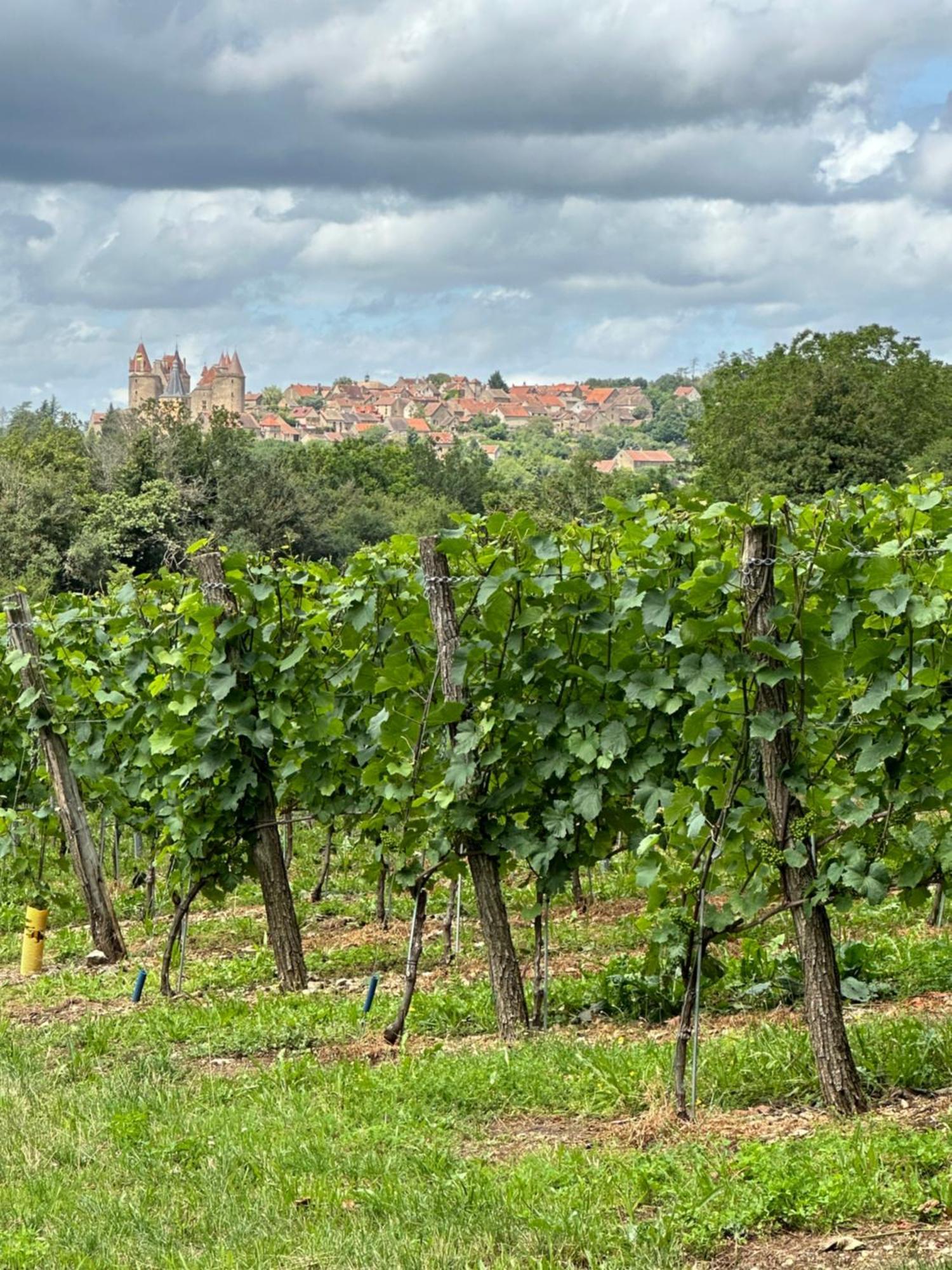 Chateauneuf Suites Kültér fotó